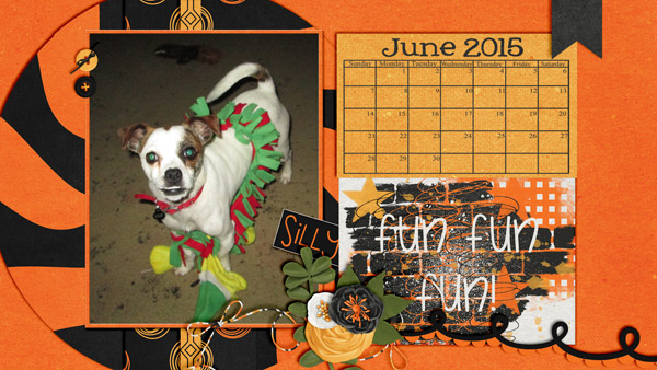 Catnip Desktop