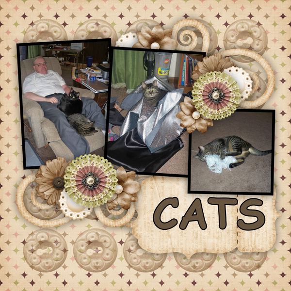 Cats 2010