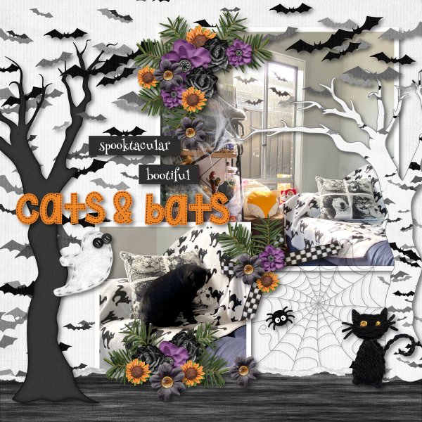 cats and bats