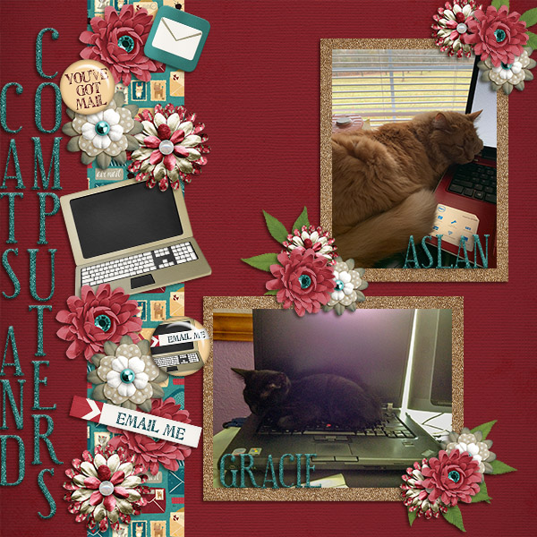 Cats and Computers