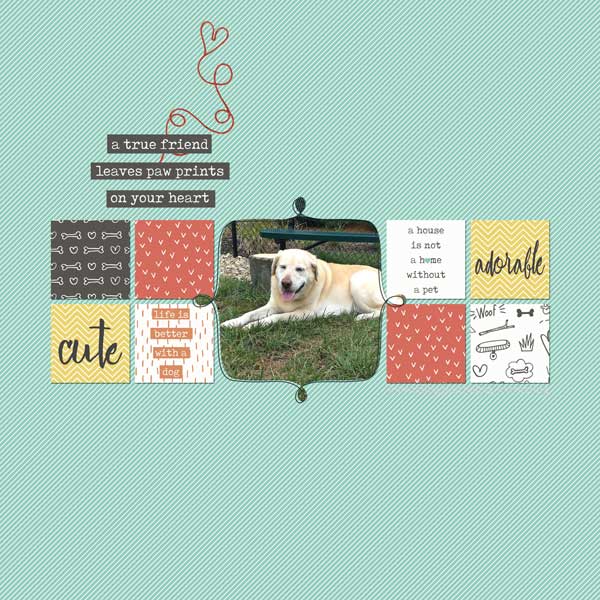 Cats and Dogs