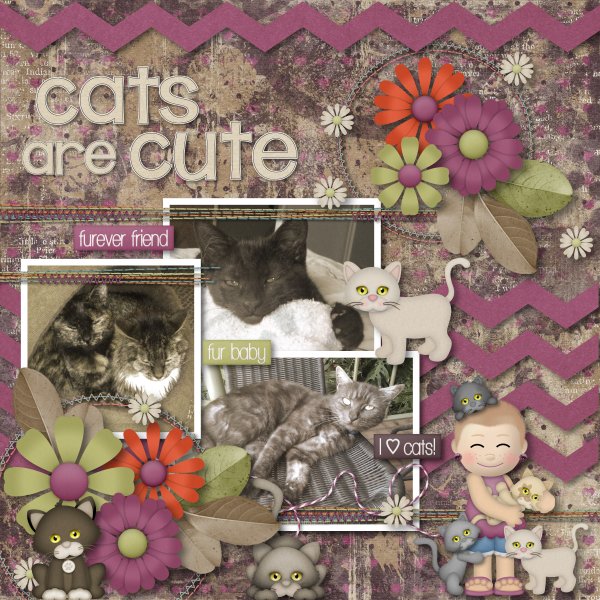 Cats are cute