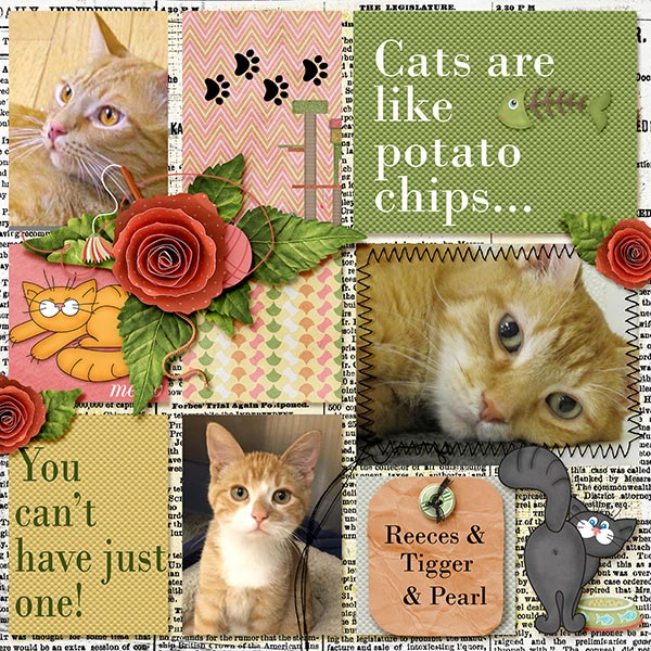 Cats are like potato chips...