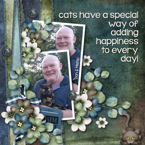 Cats are special