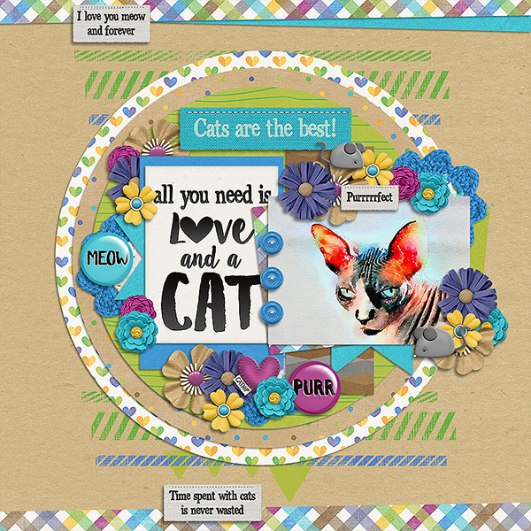 Cats Are The Best