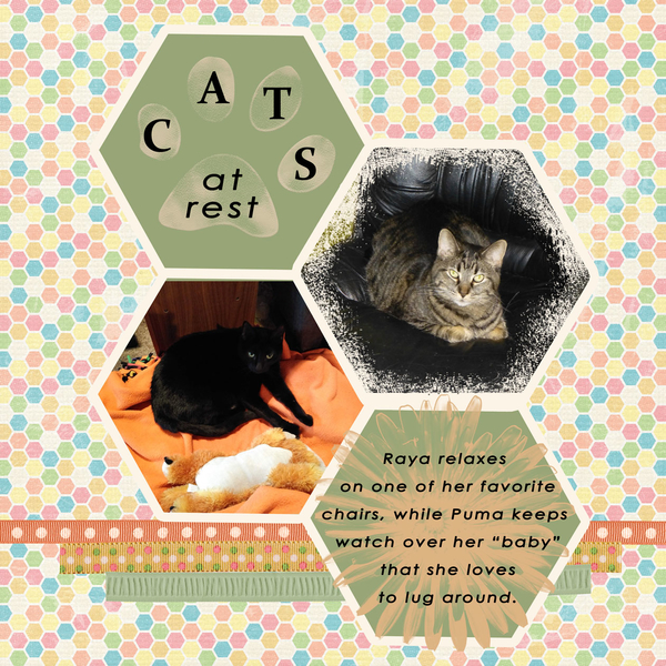 Cats at Rest