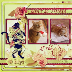 Cats from Heaven