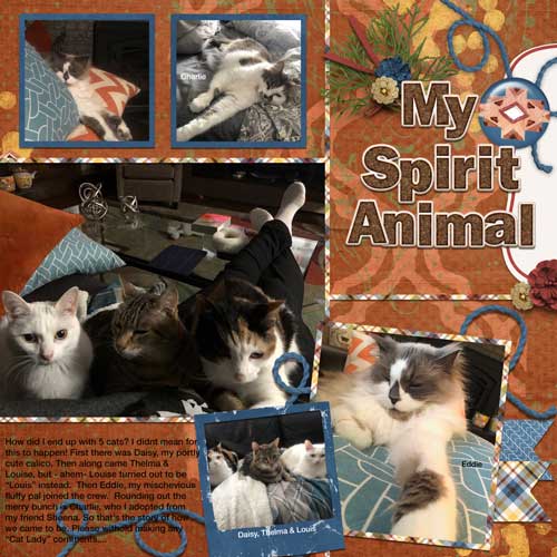 Cats Galore