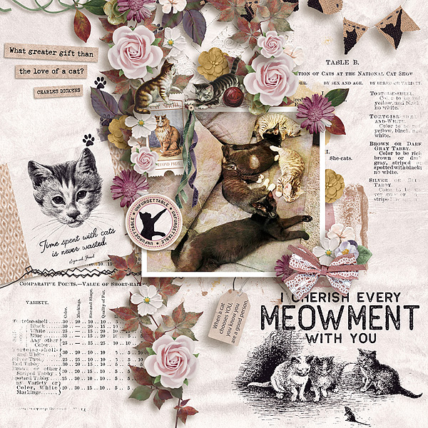 Cat's Gift