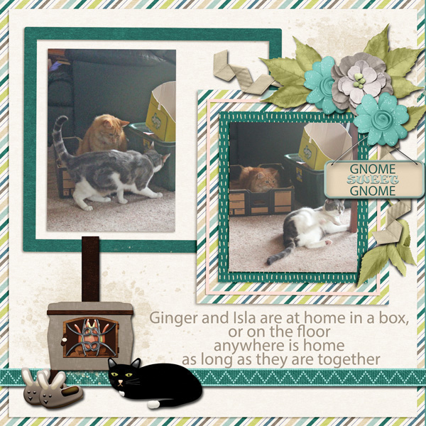 Cats Gnome alone