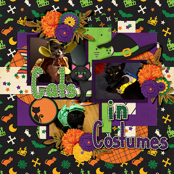cats-in-costumes