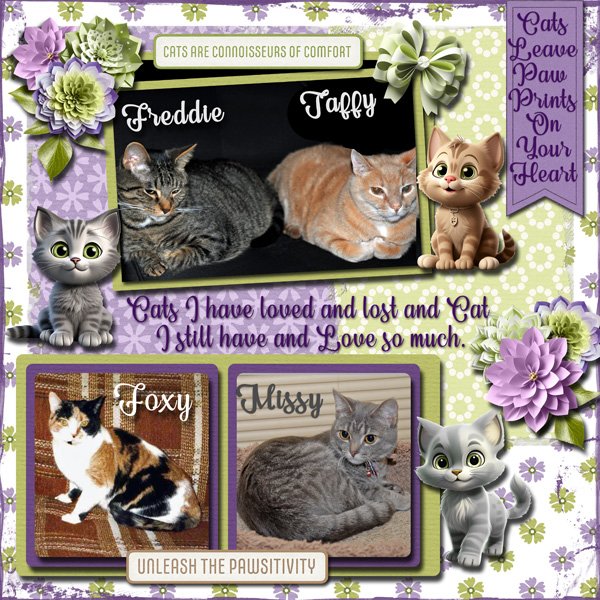 Cats Leave Paw Prints On Your Heart