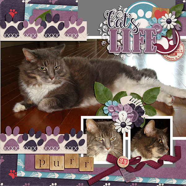 Cat's Life
