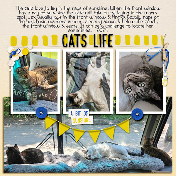 Cats Life