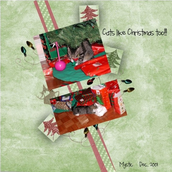 Cats like Christmas too