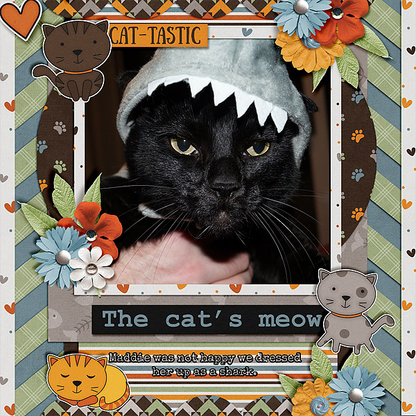 cats-meow