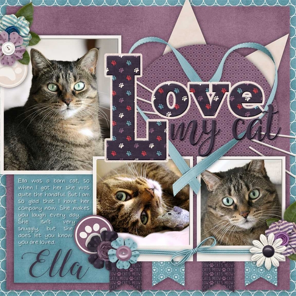 Cat's Meow