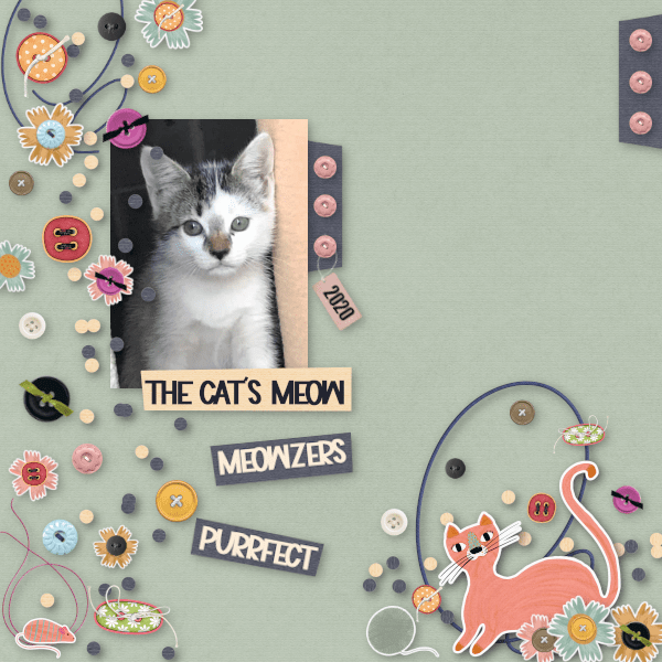 Cats Meow!