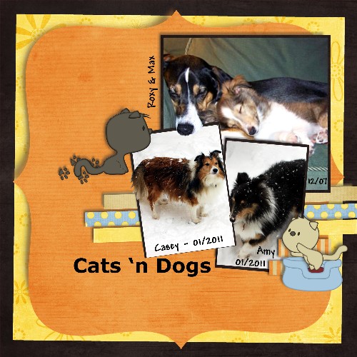 Cats 'n  Dogs
