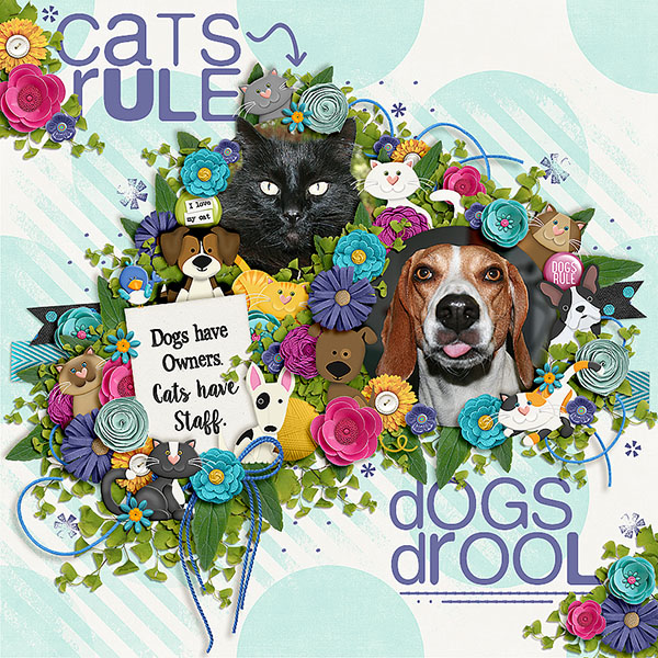 Cats Rule Dogs Drool