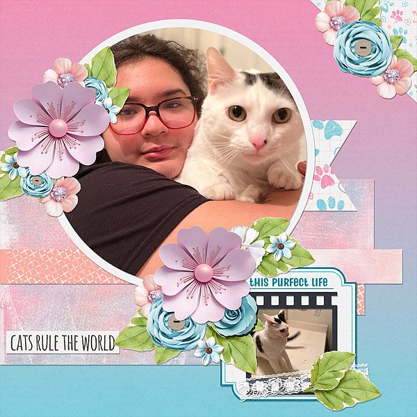 Cats Rule the World