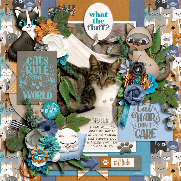 cats rule
