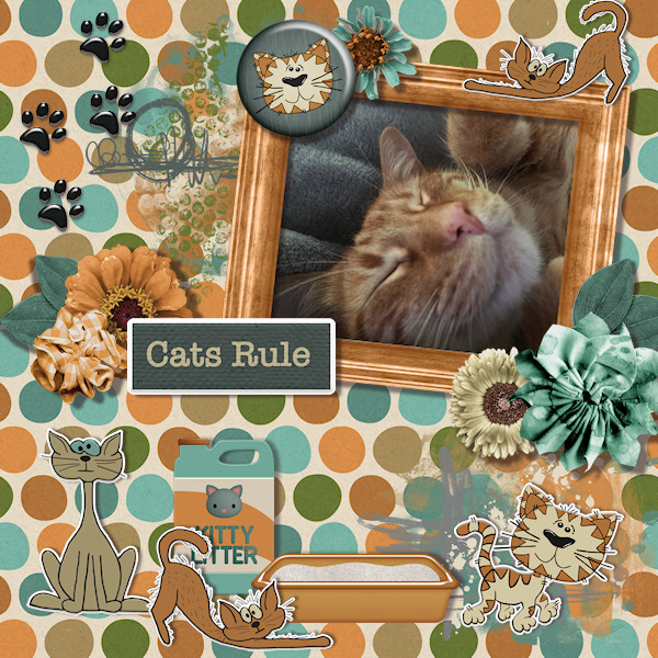 Cats Rule