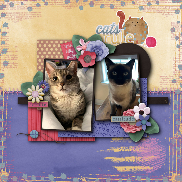 Cats Rule