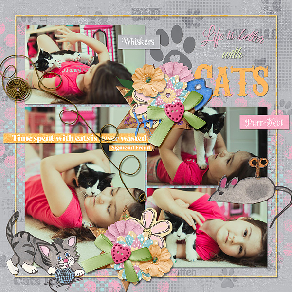 Cats Rule