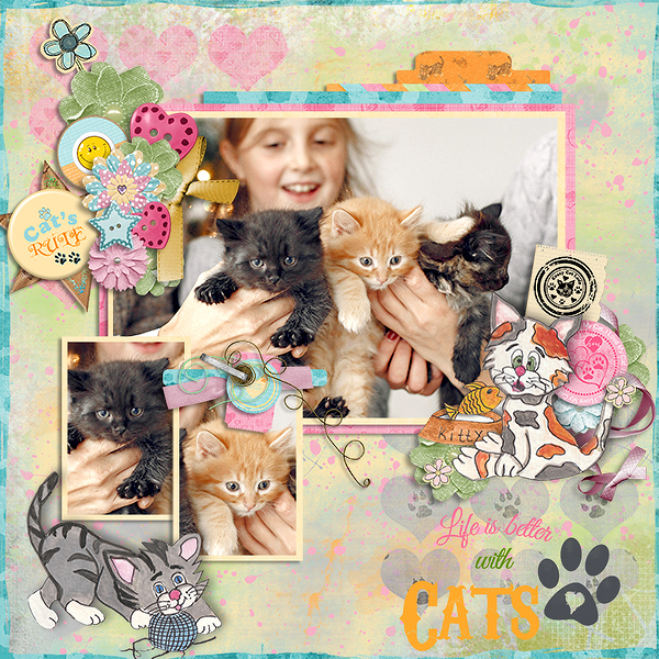 Cats Rule