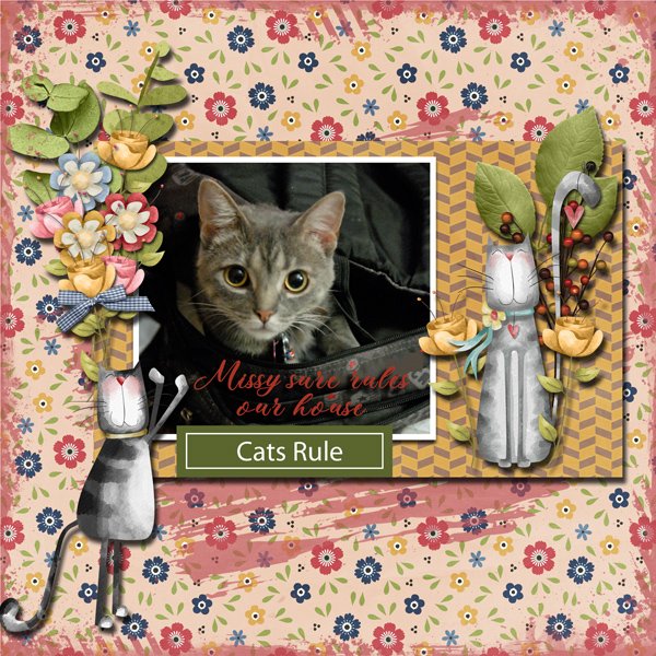 Cats Rule
