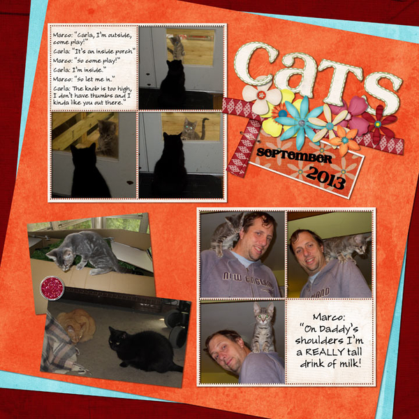 Cats