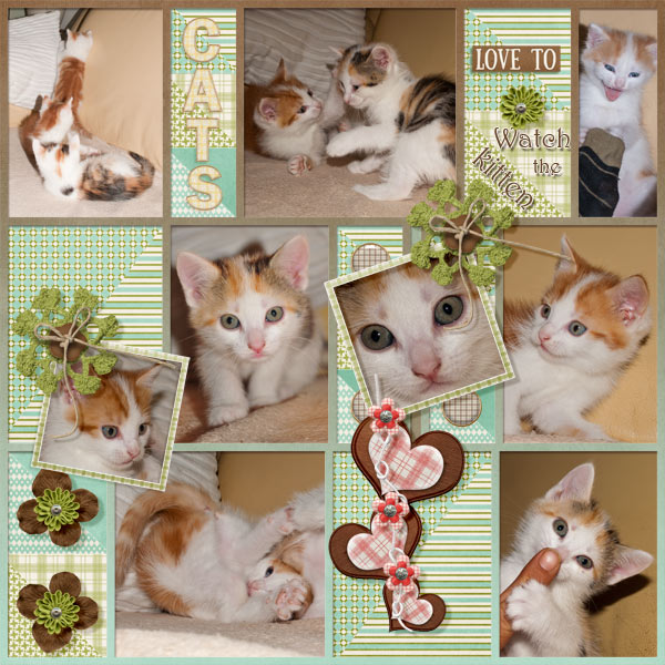 CATS