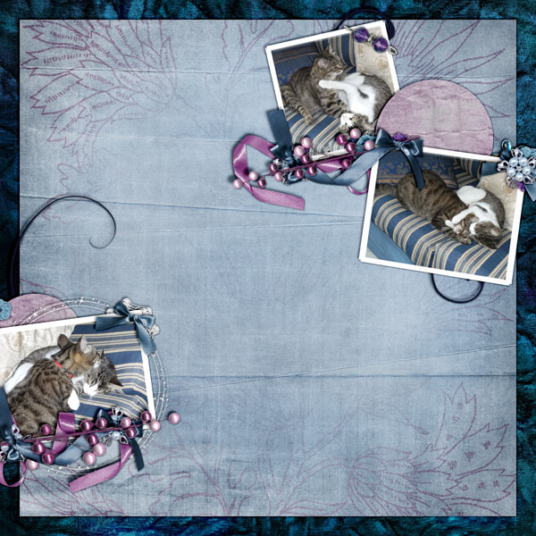 Cats