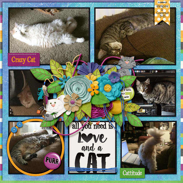 Cats