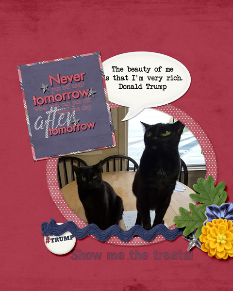Cats