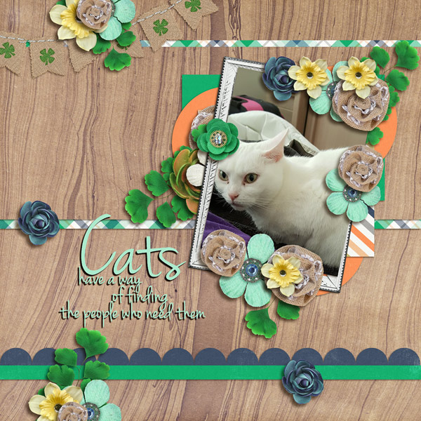 Cats