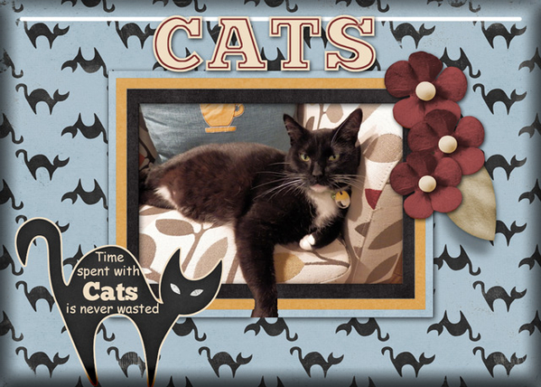 Cats