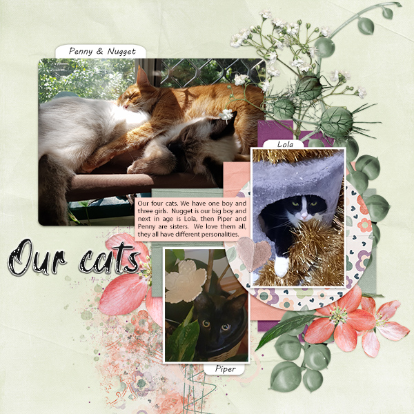 Cats