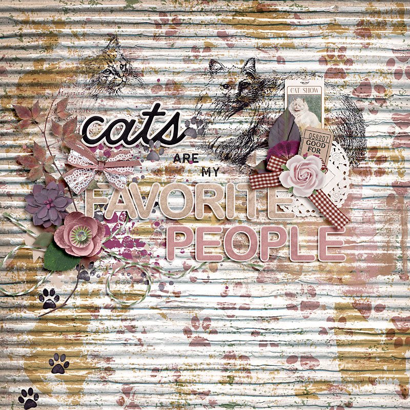 Cats