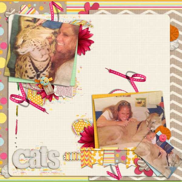 Cats