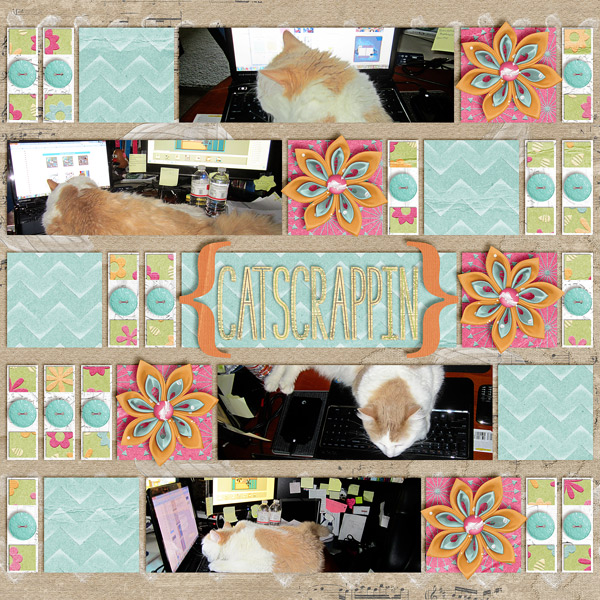 Catscrappin