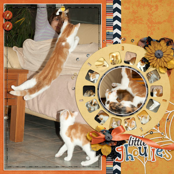 CatSnAction