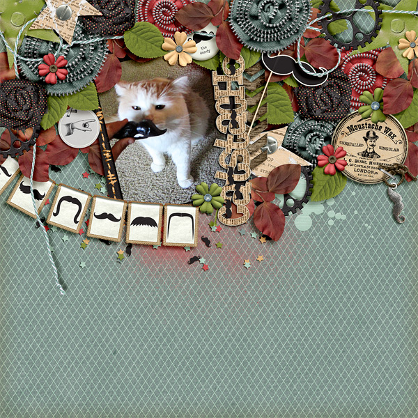 Catstache