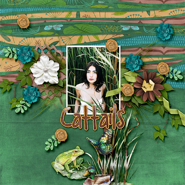 Cattails