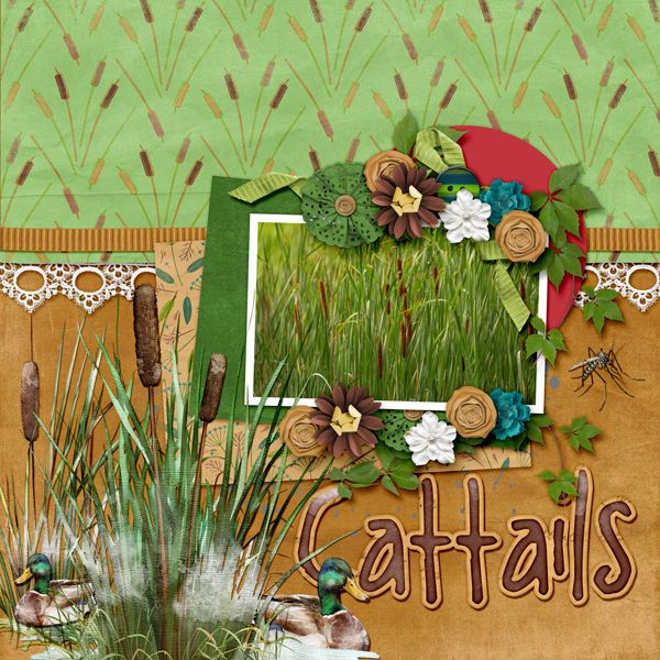 Cattails
