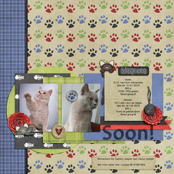 Cattery-Jeeper2