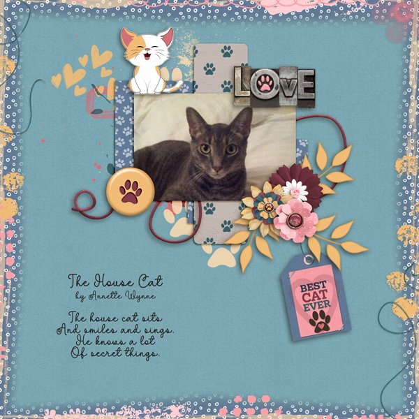 Cattitude-Adrienne 1.jpg