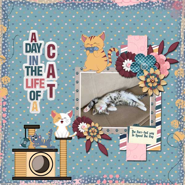 cattitude-adrienne-skelton.jpg