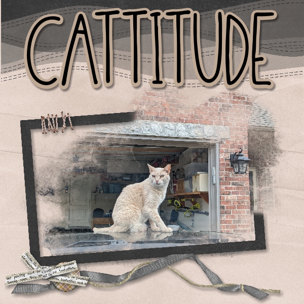 Cattitude mask challenge